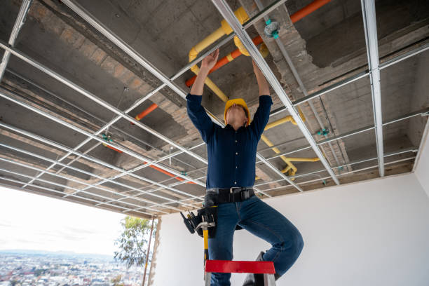 Best Local Plumber Services  in Pittsville, MD